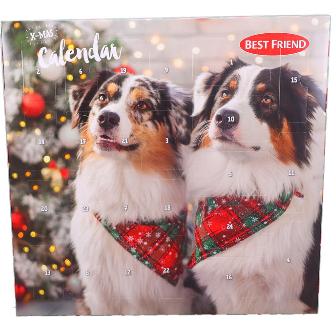 Best Friend Julkalender Hund