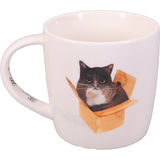 Maxwell & Williams Muki Cat In A Box