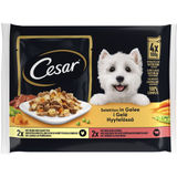 Cesar Hundemad Selection 4-pak