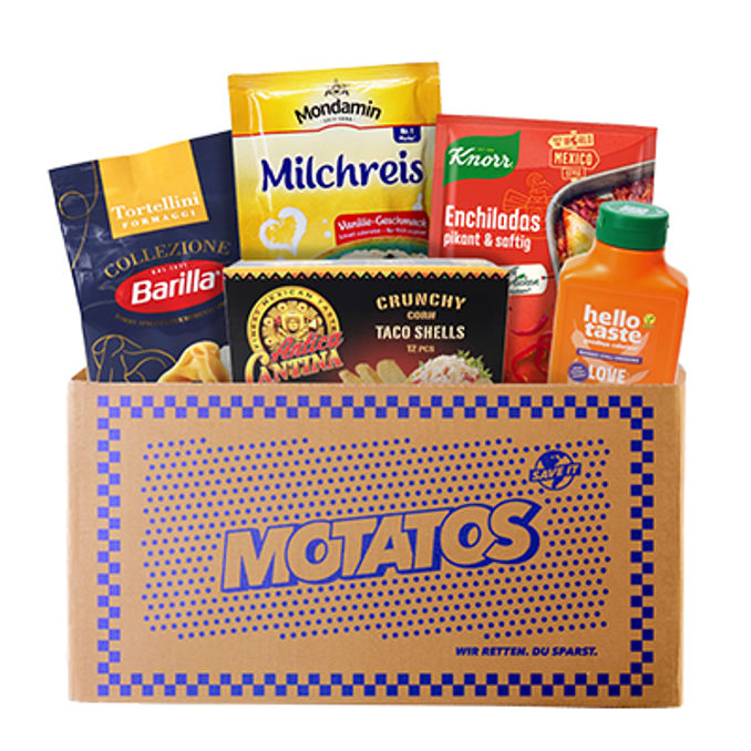 Motatos Koch Surprisebox