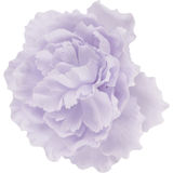 Ibero Haarspange Pfingstrose Flieder