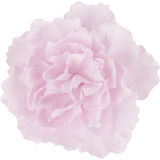 Ibero  Haarspange Pfingstrose Hellpink