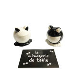 Parastone Salz- und Pfeffer-Streuer