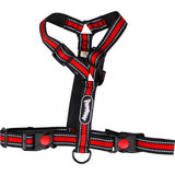 The Pep Dog Hundsele Reflex Röd Stl. M