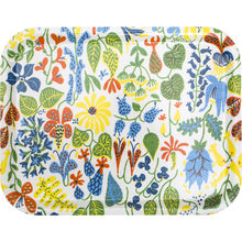 Stig L. Herbarium Light Bakke