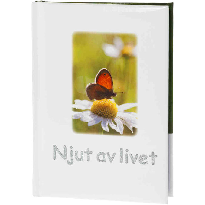 Pedagogförlaget Bok: Njut Av Livet