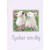 Pedagogförlaget Presentbok: Tycker Om Dig