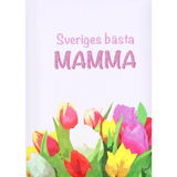 Pedagogförlaget Bok: Sveriges Bästa Mamma