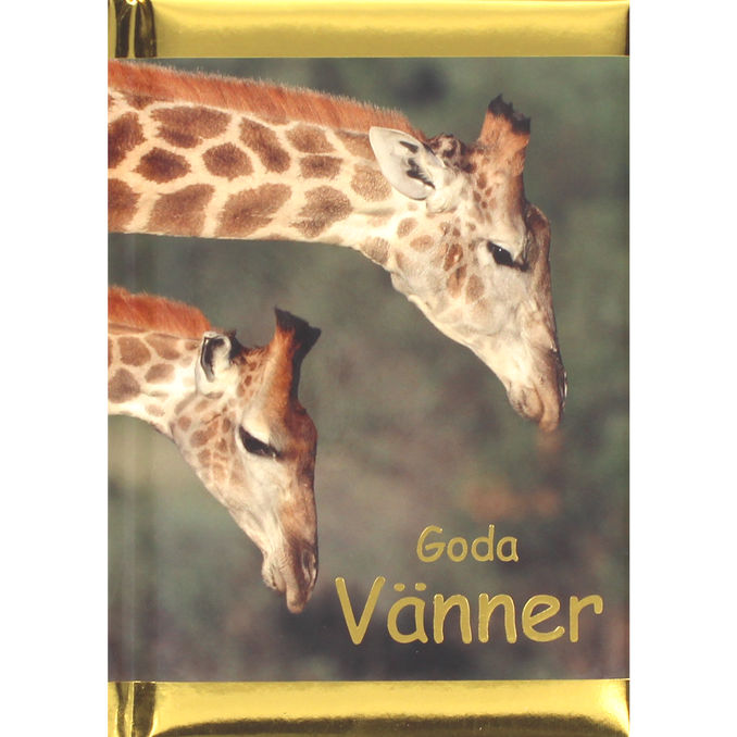 Pedagogförlaget Bok: Goda Vänner