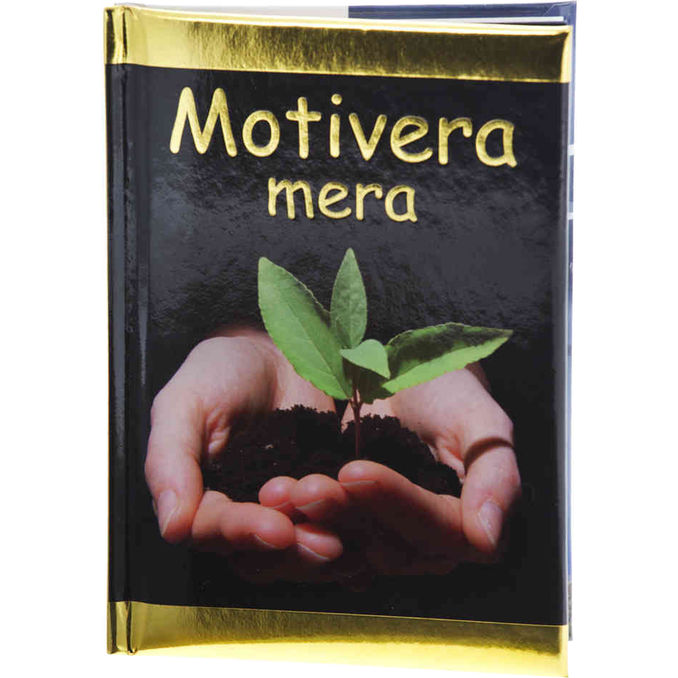 Pedagogförlaget Bok: Motivera Mera