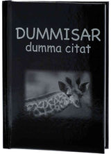 Pedagogförlaget Bok: Dummisar