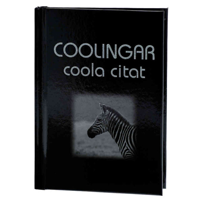 Pedagogförlaget Bok: Coolingar