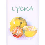 Pedagogförlaget Bok: Lycka