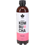 Pureness Kombucha - Hallon Eko
